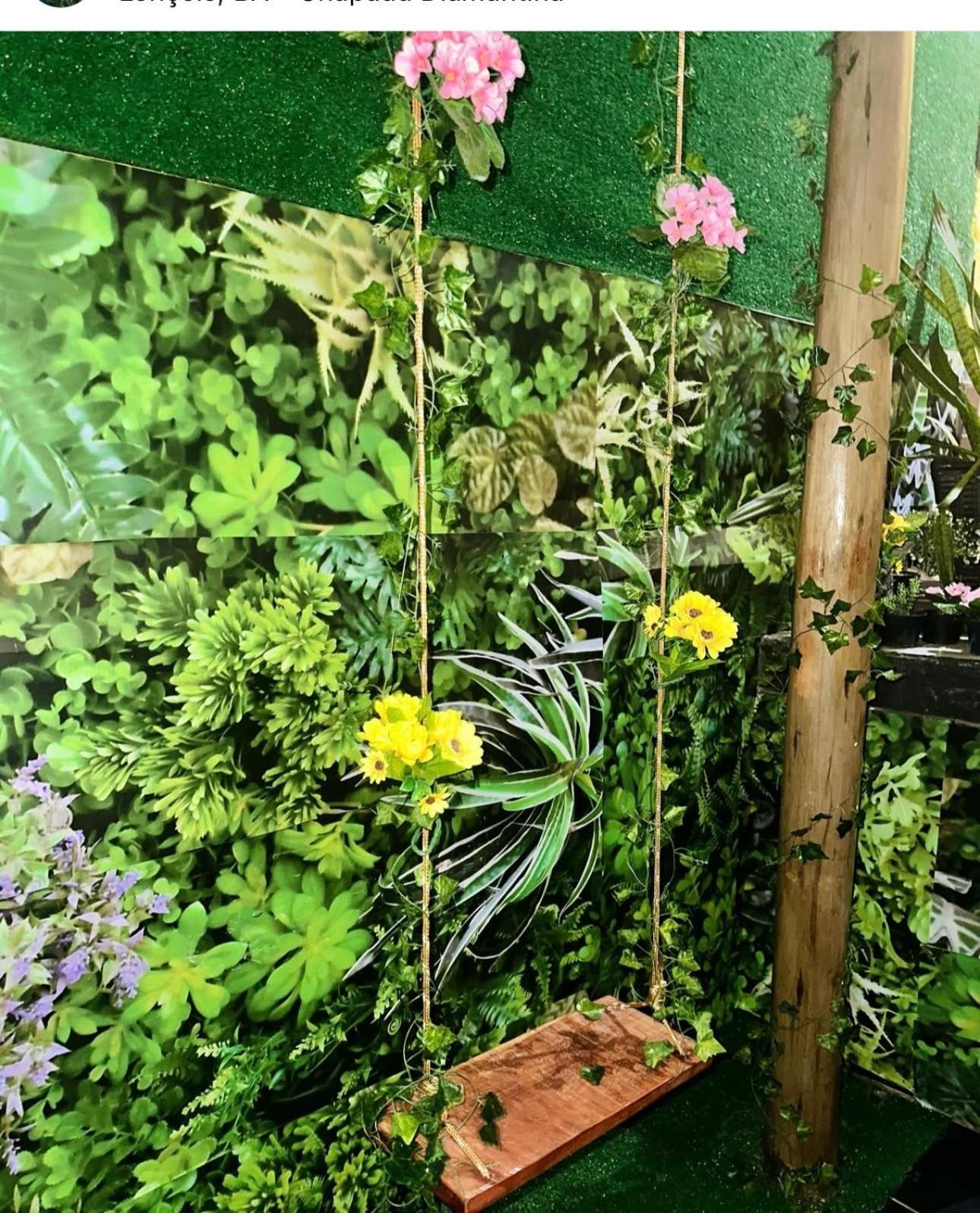 伦索伊斯 Pousada Violeiro酒店 外观 照片